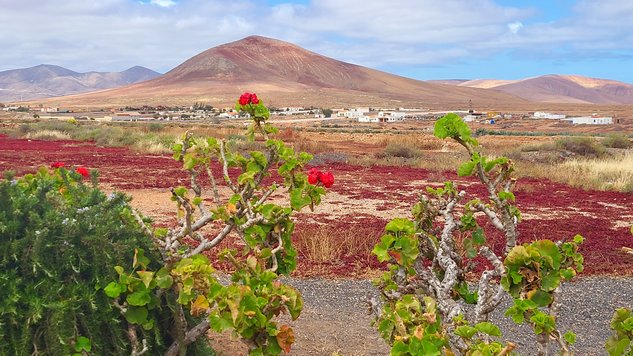 Company/Wanted auf Erasmus+ Tour