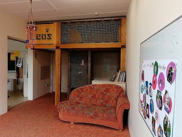 Gesamtansicht der Hochebene der Laborschule Dresden zum Klettern und Spielen